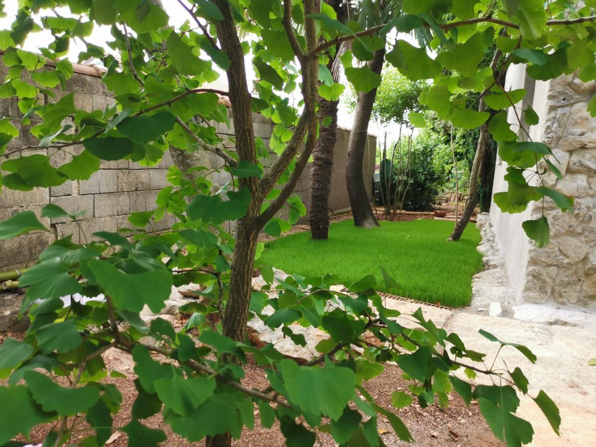 Ginko House Apartment Opatija Ngoại thất bức ảnh