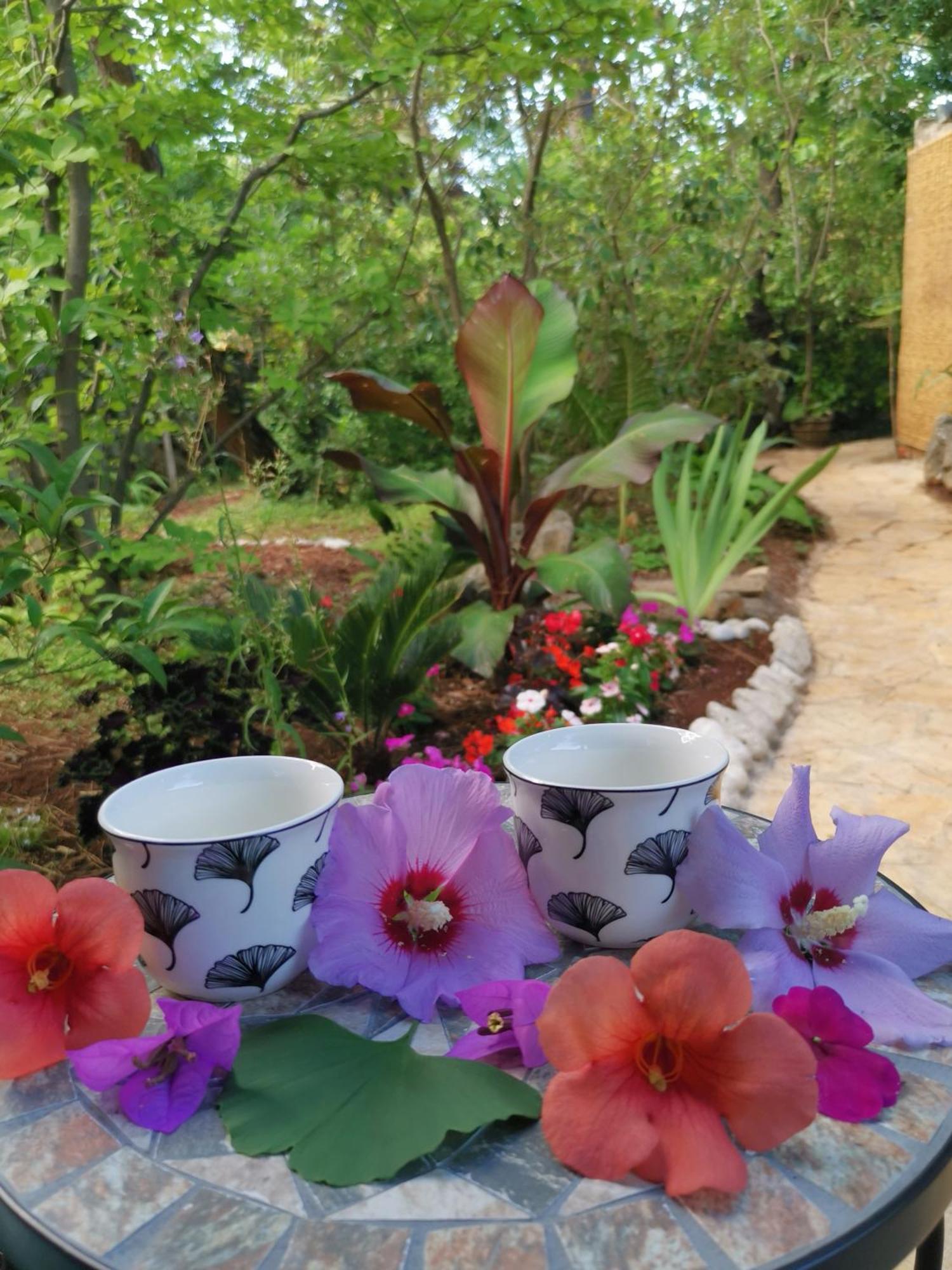Ginko House Apartment Opatija Ngoại thất bức ảnh